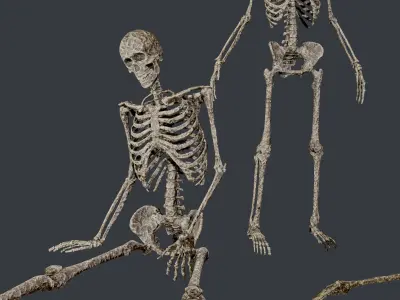 10 Skeletons Old and Mossy Game Ready Low-poly 3D model