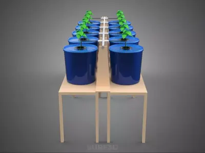 DIY GREENHOUSE BATO DUTCH BUCKET HYDROPONIC SYSTEM PLANT ARRAY 3D model
