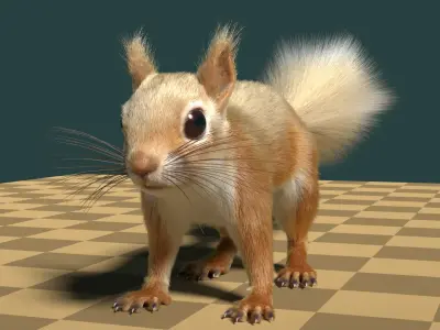  Squirrel 