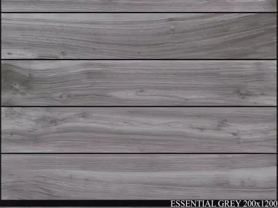 Ariana Ceramica Essential Grey 200x1200 3D model