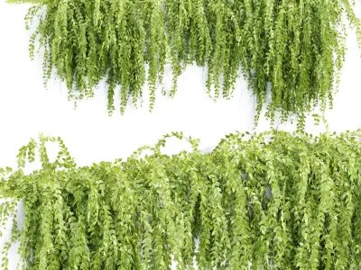 Hanging wall creeper plants collection vol 7 3D Model Pack