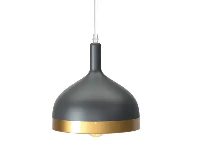 Aldershaw Pendant Lamp Free 3D model