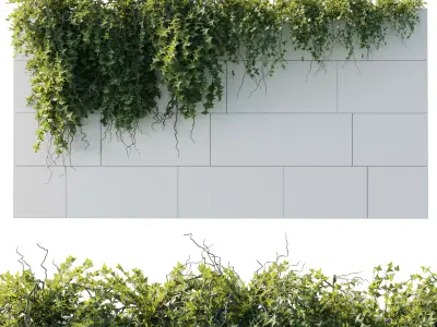 ivy hanging from the wall - outdoor plants set 173  3D model