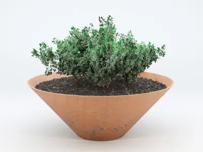 DAMAS plant in bowl 3D model