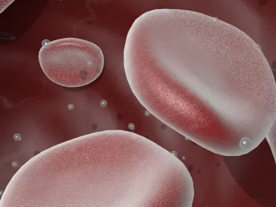 Animated Blood Vessels Segment 3D model