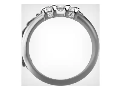 190813 R classic ring  3D print model