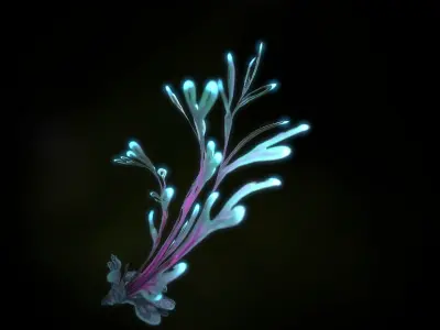 Alien Plant Fern Type 4 Low-poly 3D model