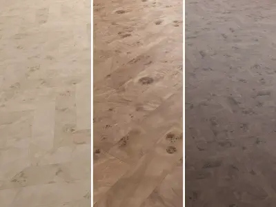 Birch Burl wood flooring and parquet Set 02 Texture