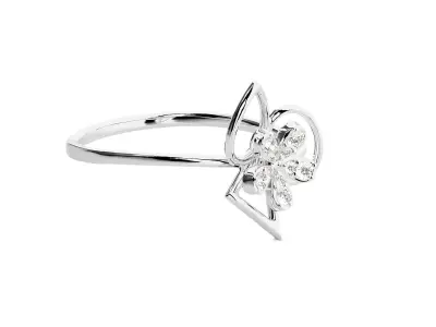 Ring - 107 3D print model