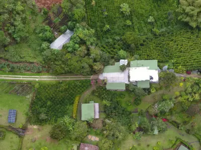 Reserva Natural Salto Del Buey Low-poly 3D model