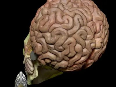 Mars Attacks Alien Mask 3D DIGITAL DOWNLOAD 3D print model