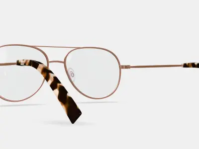York Eyeglasses in Rose Gold 3D model