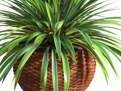 Hanging basket flowerpot rattan pot with flowers 3D model