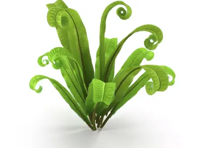 Asplenium scolopendrium 3D model