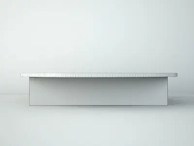 Petrified Wood Slice Coffee Table 2 3D model