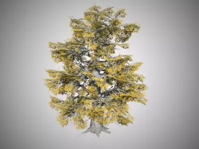 European Beech Fall Tree Low-poly 3D model