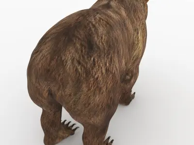 Bear 5 grizzly 3D model