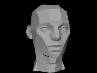 Planes of the Head - Male Asaro model 3D model