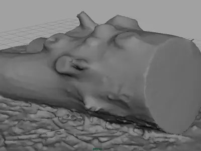 Dead trunk 4 Low-poly 3D model