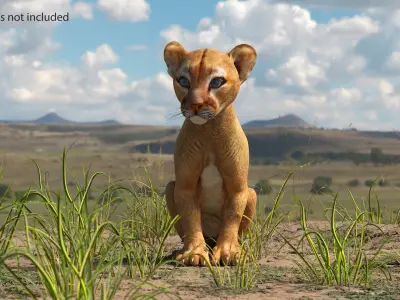  Puma Cub Rigged for Cinema 4D 