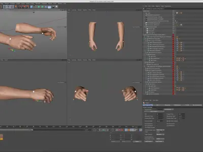  Rigged and Animated Hands (Male) 