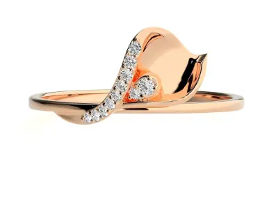 Ring - 11 3D print model