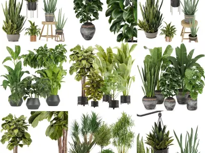 Collection plant indoor vol 4 3D Model Pack