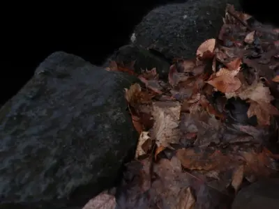 Muddy autumn forest floor  Free 3D model