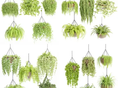 Hanging plants indoor collection-Blender 3D Model Pack
