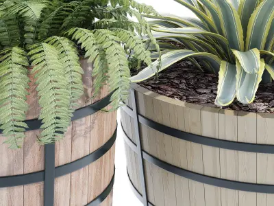 Half Barrel Planters 3D model