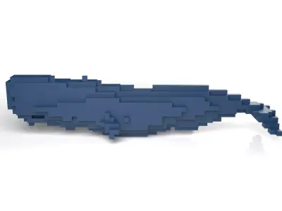 Whale Minecraft Voxel Low-poly 3D model