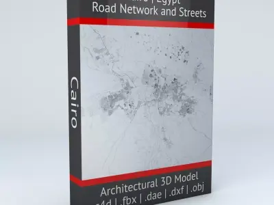 Cairo Road Network and Streets 3D model