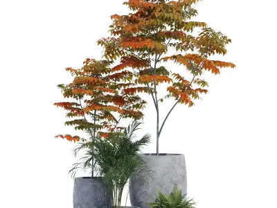 Paolelli one 3D model