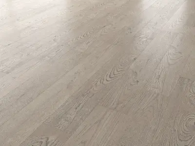 Wood Floor Set 18 Texture