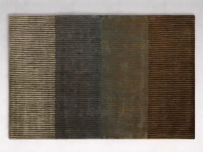 Vibration Rug 3D model