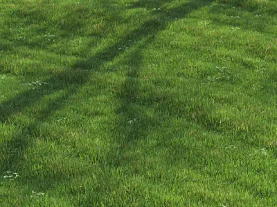 green lawn 3D model