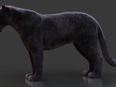  Black Jaguar Animated Xgen-Core 