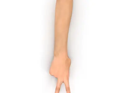  Female Hand 2 Rigged for Cinema 4D 