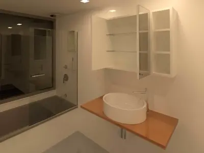 WC Wall Mirror Cabinet with Shelves 3D model