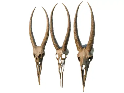 Big Horned wendigo head 3D model