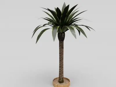 Palm Tree Low-poly 3D model