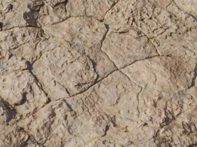Weathered Cracked Desert Rock Surface Texture