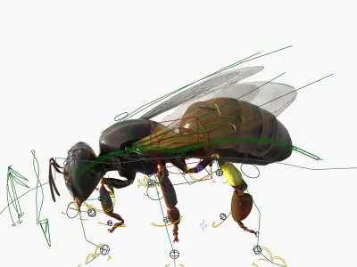  Worker Bee Rigged For Blender 