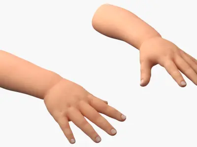  Caucasian Baby Hands 