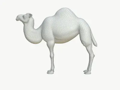  Realistic 3D Camel Model Game-Ready 