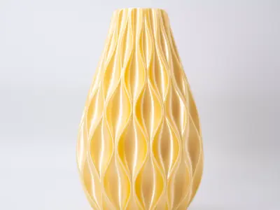 Waves Vase and Spiral Vase 3D print model