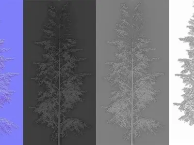 Eucalyptus tree 1 Low-poly 3D model