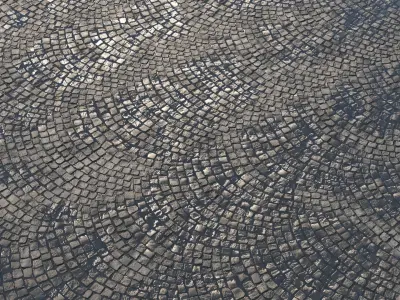 Material of wet radial paving 01 Texture
