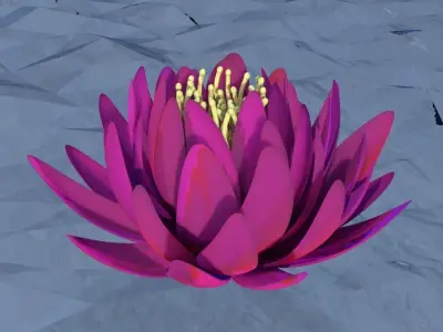 Lotus flower Free 3D model