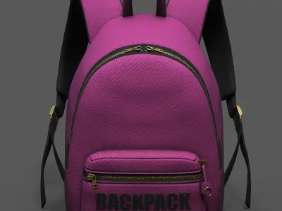 Backpack Camping color bag baggage pockets  Low-poly 3D model